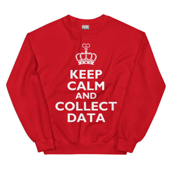 Keep Calm and Collect Data Unisex Sweatshirt (Multiple Color Options) - Image 2